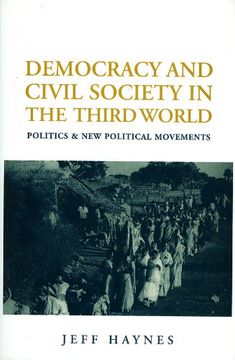 portada democracy and civil society in the third world: interpretation and critique (en Inglés)