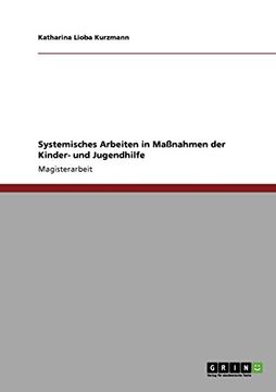 portada Systemisches Arbeiten in Maßnahmen der Kinder- und Jugendhilfe (German Edition)