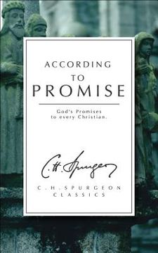 portada according to promise: god's promise to every christian (en Inglés)