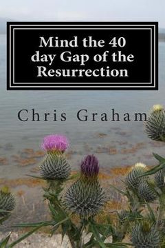 portada Mind the 40 day Gap of the Resurrection: Jesus was on the earth for 40 days following the resurrection, why doesn the church say more about this? Just (en Inglés)