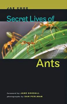 portada Secret Lives of Ants