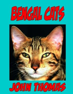 portada Bengal Cats: How to Communicate With Your Cat