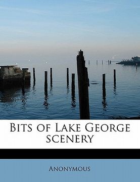 portada bits of lake george scenery (en Inglés)