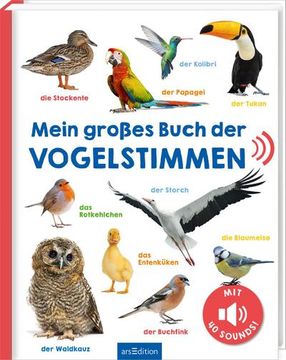 portada Mein Großes Buch der Vogelstimmen (en Alemán)