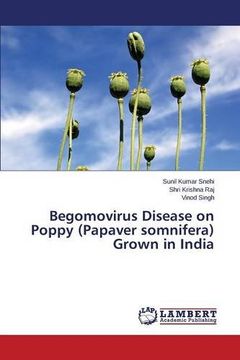 portada Begomovirus Disease on Poppy (Papaver Somnifera) Grown in India (in English)