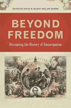 portada Beyond Freedom: Disrupting the History of Emancipation (Uncivil Wars Series) (in English)