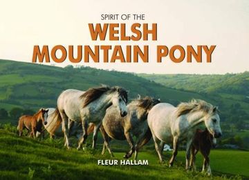 portada Spirit of the Welsh Mountain Pony (Spirit of Britain)