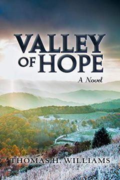 portada Valley of Hope: A Novel (in English)