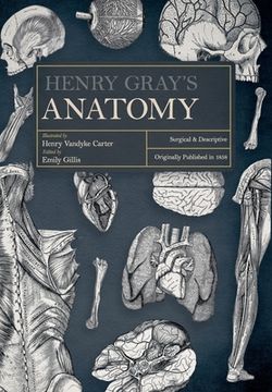 portada Henry Gray's Anatomy: Surgical and Descriptive (in English)