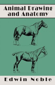portada Animal Drawing and Anatomy (in English)