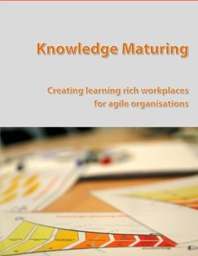 portada Knowledge Maturing: Creating learning rich workplaces for agile organizations