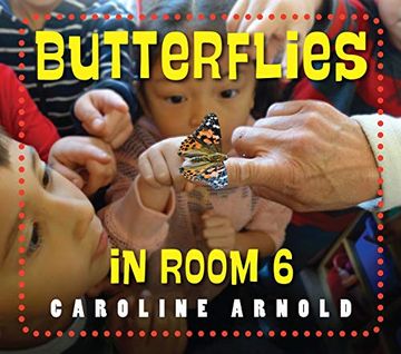 portada Butterflies in Room 6: See how They Grow (en Inglés)