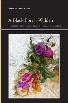 portada A Black Forest Walden (Suny Series, Insinuations: Philosophy, Psychoanalysis, Liter) (en Inglés)