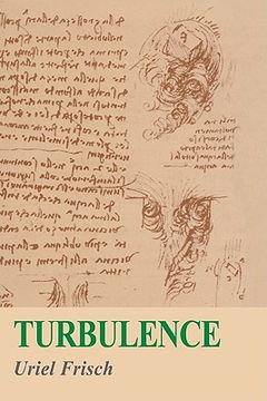 portada Turbulence: The Legacy of a. N. Kolmogorov (in English)