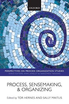 portada Process, Sensemaking, and Organizing (Perspectives on Process Organization Studies) (en Inglés)