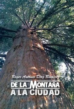 portada De la Montana a la Ciudad: El Nino Pobre (in Spanish)