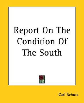 portada report on the condition of the south (in English)