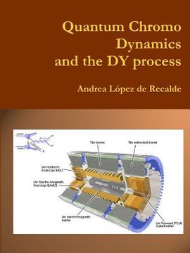 portada QCD & the DY process (en Inglés)
