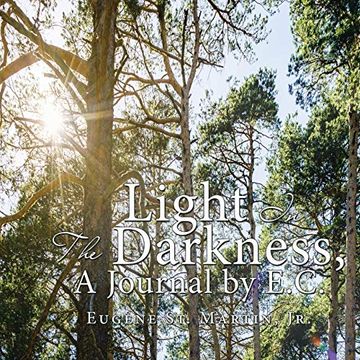 portada Light in the Darkness, a Journal by E. C. 