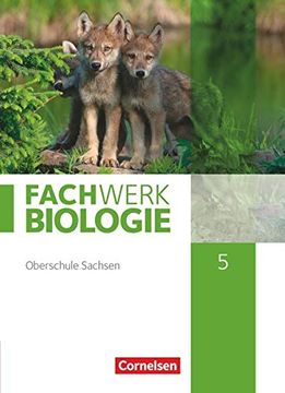 portada Fachwerk Biologie - Sachsen: 5. Schuljahr - Neuer Lehrplan - Schülerbuch - Neubearbeitung (en Alemán)