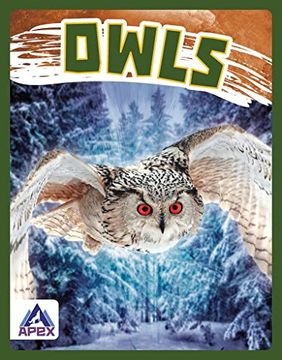 portada Owls (Birds of Prey) (in English)