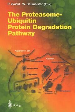 portada the proteasome ubiquitin protein degradation pathway (en Inglés)