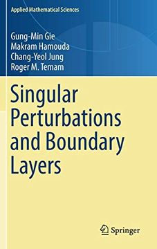 portada Singular Perturbations and Boundary Layers (Applied Mathematical Sciences) (en Inglés)