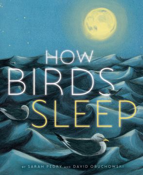 portada How Birds Sleep (in English)