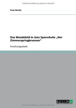 portada Das Wendebild in Jens Sparschuhs „Der Zimmerspringbrunnen" (German Edition)