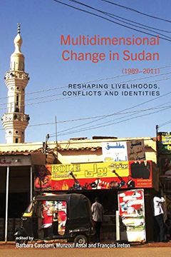 portada Multidimensional Change in Sudan (1989-2011): Reshaping Livelihoods, Conflicts and Identities 