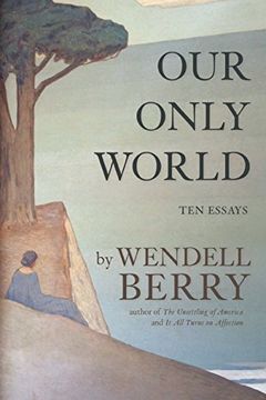 portada Our Only World: Ten Essays