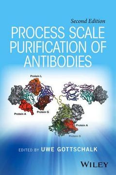 portada PROCESS SCALE PURIFICATION OF (in English)