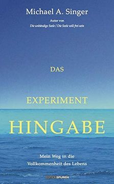 portada Das Experiment Hingabe (en Alemán)