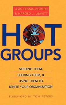 portada Hot Groups: Seeding Them, Feeding Them, and Using Them to Ignite Your Organization (en Inglés)