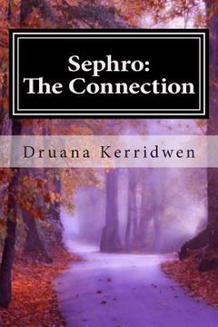 portada Sephro: The Connection: Book 1 in "The Sephro Chronicles" (en Inglés)