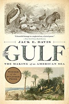 portada The Gulf: The Making of an American sea (en Inglés)