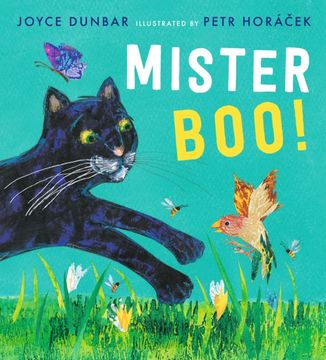 Mister Boo! (en Inglés)