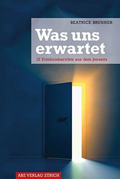 portada Was uns Erwartet: 12 Erlebnisberichte aus dem Jenseits (in German)