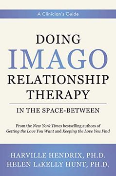 portada Doing Imago Relationship Therapy in the Space-Between: A Clinician'S Guide (in English)