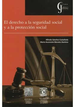 portada Derecho a la Seguridad Social y a la Proteccion Social, el