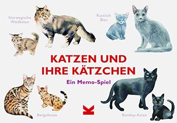 portada Katzen und Ihre Kätzchen: Ein Memo-Spiel (en Alemán)
