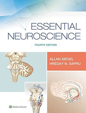 portada Essential Neuroscience (en Inglés)