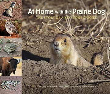 portada At Home With the Prairie Dog: The Story of a Keystone Species (The Story of a Keystone Species, 3) 