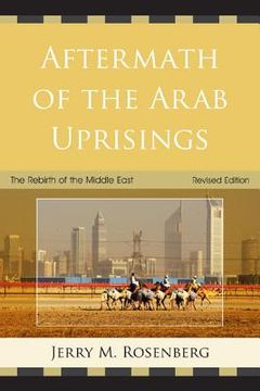 portada aftermath of the arab uprisings: the rebirth of the middle east