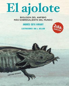 portada Ajolote, el. Biología del Anfibio más Sobresaliente del Mundo (in Spanish)