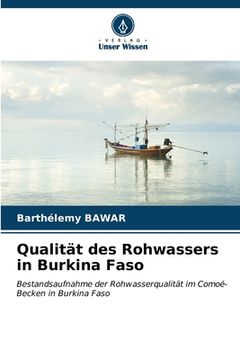portada Qualität des Rohwassers in Burkina Faso (en Alemán)