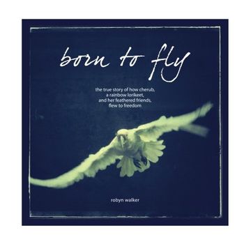 portada Born To Fly