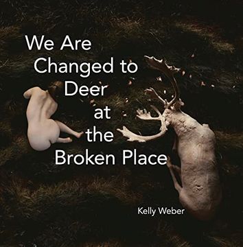 portada We are Changed to Deer at the Broken Place (in English)