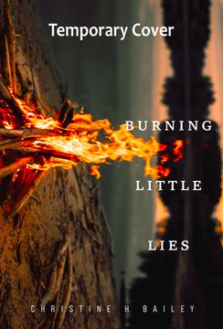 portada Burning Little Lies (in English)