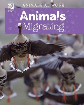 portada Animals Migrating (en Inglés)